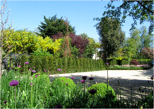 Dartry Garden